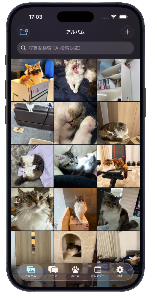 アルバム - たくさんの写真がグリッド表示